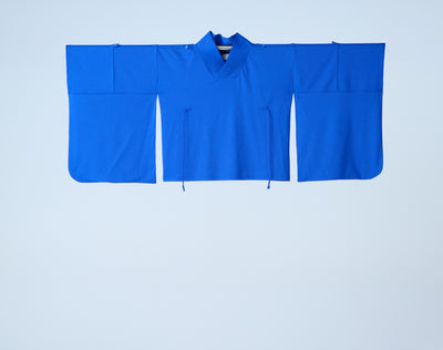 Kimono Sleeve Bare Smooth Short Pullover Blue